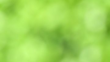 Antes de obtener un préstamo para el alquiler, es importante que evalúes los costos involucrados y los pros y contras.