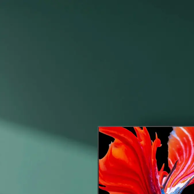 Roku - 75" Class Pro Series Mini-LED QLED