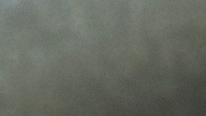 Cheque de estímulo DOGE