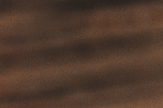 Dólar estadounidense