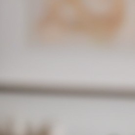 Jubilados del Seguro Social