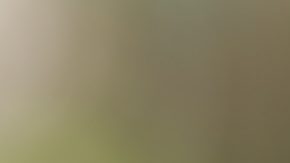 Los activos bajo gestión (AUM) son el valor de mercado de las inversiones gestionadas por una persona o entidad en nombre de sus clientes.