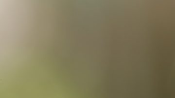 Los activos bajo gestión (AUM) son el valor de mercado de las inversiones gestionadas por una persona o entidad en nombre de sus clientes.