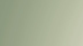 Los pagaré como inversión son un instrumento financiero que detalla cuándo el prestatario debe reembolsar un préstamo y qué interés debe pagarse al prestamista.