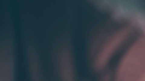 Grupos de defensa de las personas mayores, beneficiarios y legisladores, advirtieron que este requisito de verificación presencial de la SSA podría afectar seriamente a las poblaciones vulnerables.