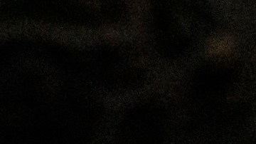 Elon Musk y el cheque de estímulo DOGE