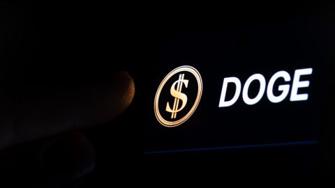 Cheque de estímulo DOGE