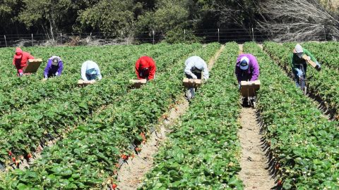 Migrantes en Estados Unidos
