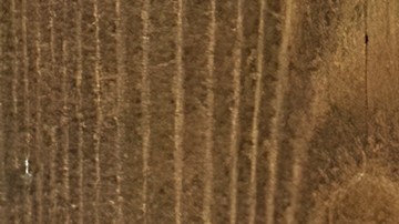 Residentes de Alaska