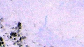 Administración del Seguro Social de Estados Unidos