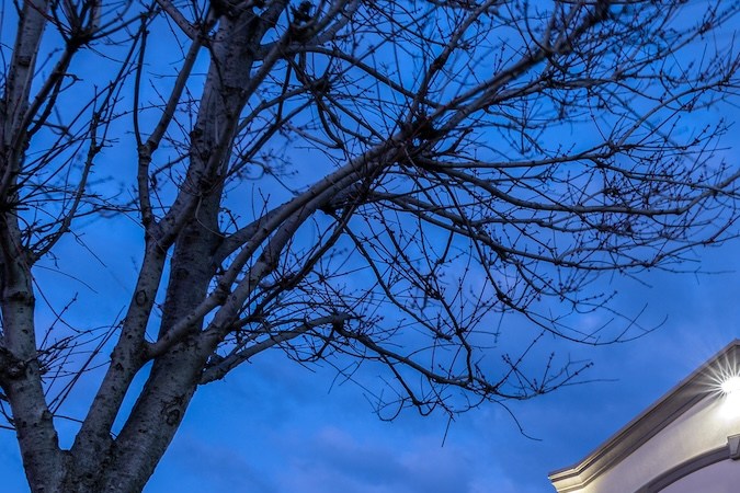 Rite Aid dijo que consiguió casi $2 mil millones de dólares en financiamiento nuevo para mantenerse operativo durante su quiebra.