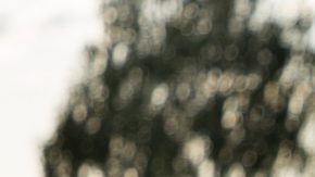 Se espera que casi 40 millones de estadounidenses salgan a las carreteras este fin de semana de Memorial Day 2025.