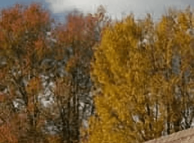 Kit de cobertizo Best Barn Mill Creek.