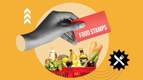 Los beneficios de SNAP llegaron a 41 millones de personas en todo el país en 2024.