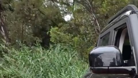 BYD Shark 2025