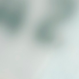 Pagos del Seguro Social