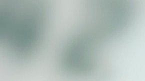 Pagos del Seguro Social