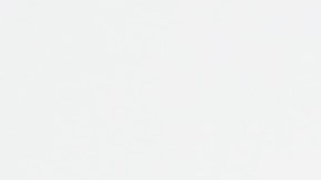 La euforia de los Labubus.