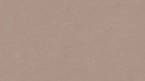 En abril, el gobernador Brian Kemp firmó el Proyecto de Ley de la Cámara de Representantes 112, que autoriza los reembolsos de hasta $500 dólares.