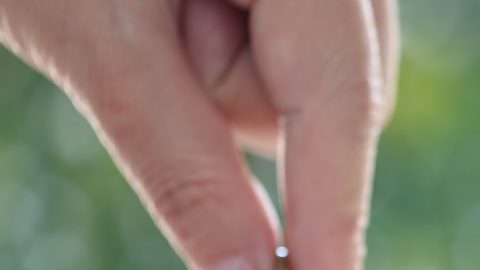 El Abundant Birth Project tiene como objetivo reducir las disparidades raciales en los resultados de salud materna e infantil.