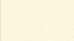 Los compradores de vivienda inteligentes buscan un estado sin impuestos a la propiedad para evitar costos a largo plazo.