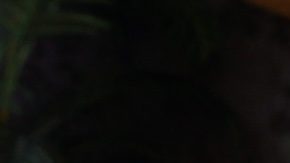 La Ley SOX de 2002 impuso reformas estrictas a las regulaciones de valores existentes e impuso nuevas y severas sanciones a quienes infringieran la ley.