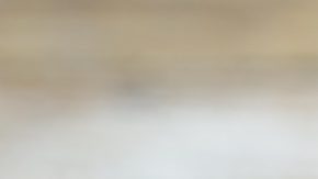 Los años 80 produjeron monedas que son raras, codiciadas y potencialmente muy valiosas.