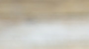 Los años 80 produjeron monedas que son raras, codiciadas y potencialmente muy valiosas.