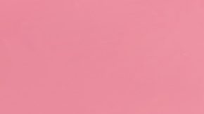 Cada día Nueva York devuelve $2 millones de dólares a individuos, empresas, organizaciones sin fines de lucro y municipios.