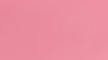 Cada día Nueva York devuelve $2 millones de dólares a individuos, empresas, organizaciones sin fines de lucro y municipios.