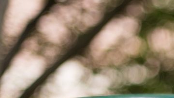 La nueva tarifa de basura en San Diego busca garantizar la modernización y sostenibilidad del programa de recolección de residuos de la ciudad.