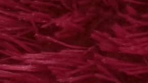 Según T-Mobile, sus clientes pueden ahorrar al menos un 20% con una línea en el nuevo plan mensual ilimitado en comparación con AT&T y Verizon Prepaid.