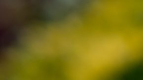 La tarjeta Chase Sapphire Reserve® es una de las tarjetas de crédito con recompensas de viaje de alta gama más populares.
