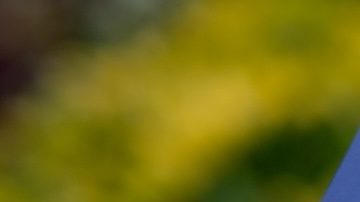 La tarjeta Chase Sapphire Reserve® es una de las tarjetas de crédito con recompensas de viaje de alta gama más populares.