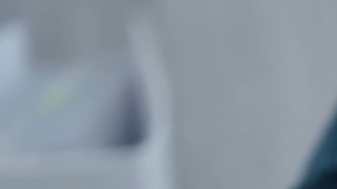 Auditor
