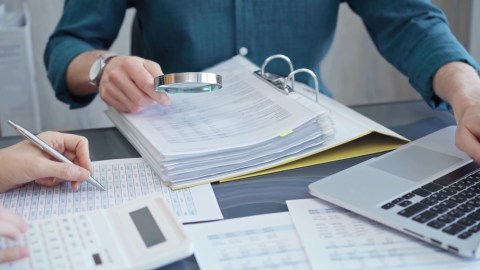 Auditor