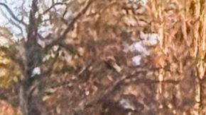 Changan Hunter Sport 4x4 2025