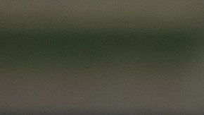 Rumor sobre cheque de estímulo