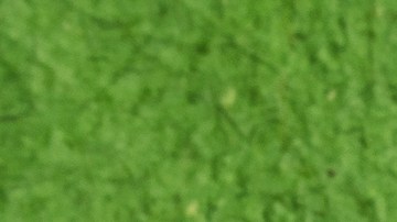 Programa de estímulo económico