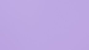 Los consumidores pueden comprar útiles escolares calificados exentos de impuestos durante la exención de impuestos sobre las ventas de regreso a clases de 2025 en Florida.