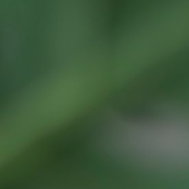 Total Checking es la cuenta corriente más popular de Chase, ya que facilita las operaciones bancarias diarias de los clientes.