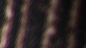 Pagos del Seguro Social