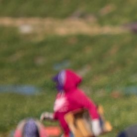 El programa de visas H-2A comenzó lentamente: solo se emitieron 44 visas en 1987, el primer año; mientras que tres décadas después, en 2023, el número había aumentado a más de 300,000.