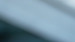 La Asociación del Servicio Exterior Estadounidense (AFSA), el sindicato que representa a los empleados del Departamento de Estado, condenó el “golpe catastrófico a nuestros intereses nacionales”.