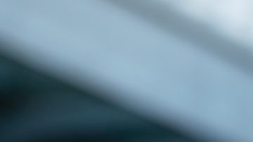 La Asociación del Servicio Exterior Estadounidense (AFSA), el sindicato que representa a los empleados del Departamento de Estado, condenó el “golpe catastrófico a nuestros intereses nacionales”.