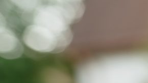 Amazon Prime Day 2025 es un evento de cuatro días que se desarrollará del 8 al 11 de julio.