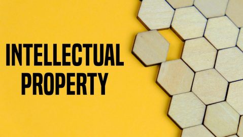 La propiedad intelectual es una descripción categórica amplia de un conjunto de activos intangibles que son propiedad de una empresa o un individuo.