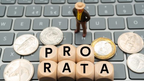 Prorrata es un término que describe la distribución o asignación de activos en porciones iguales.