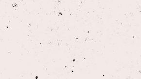 El programa TCA ayuda a las familias a ser autosuficientes y al mismo tiempo permite que los niños permanezcan en sus propios hogares.