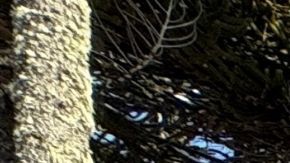 decisiones financieras equivocadas